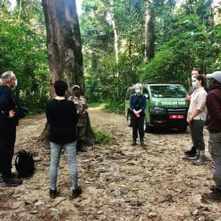 #kibalenationalpark #chimps