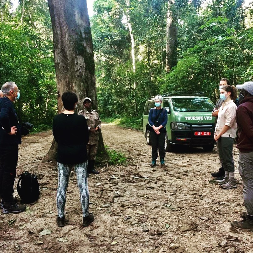 #kibalenationalpark #chimps