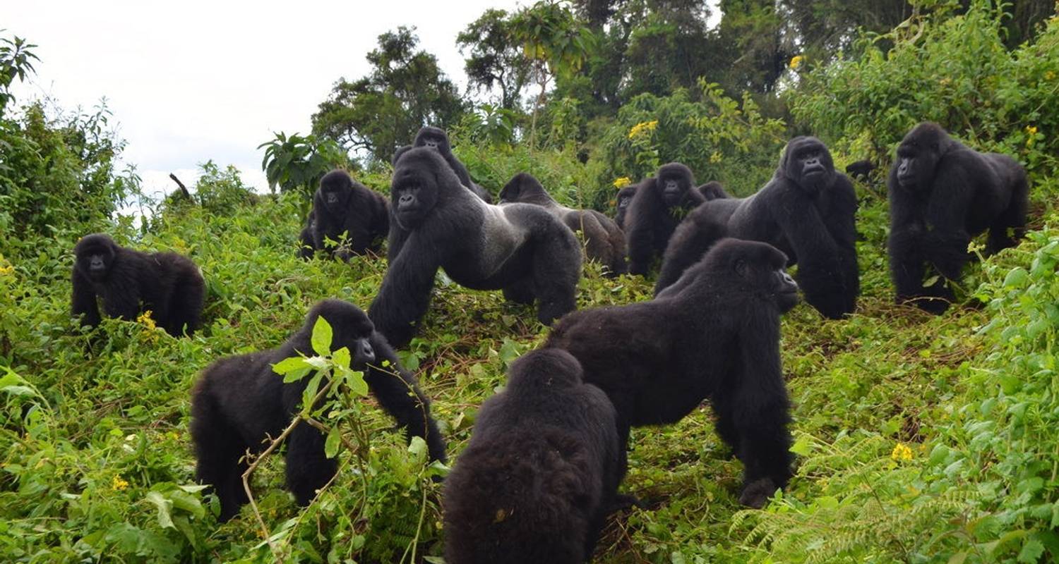 Uganda