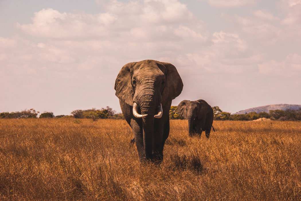 Kenya