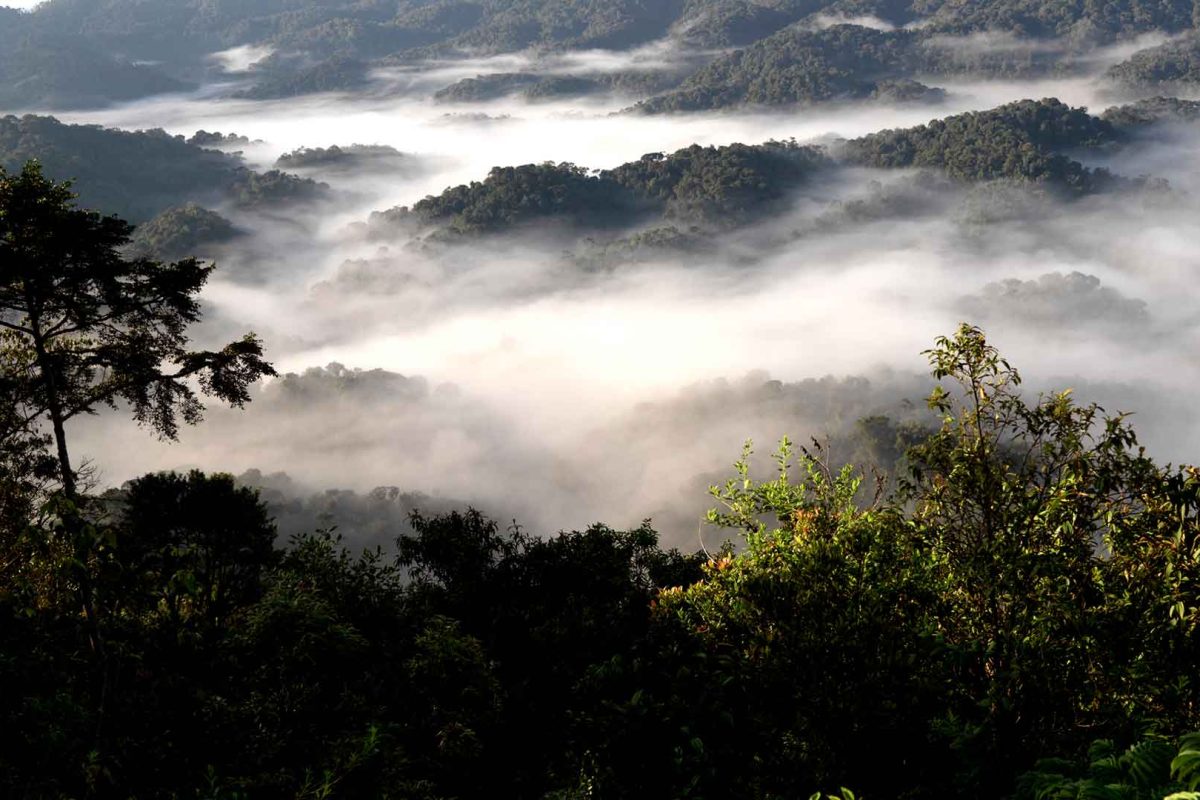 Semliki National Park