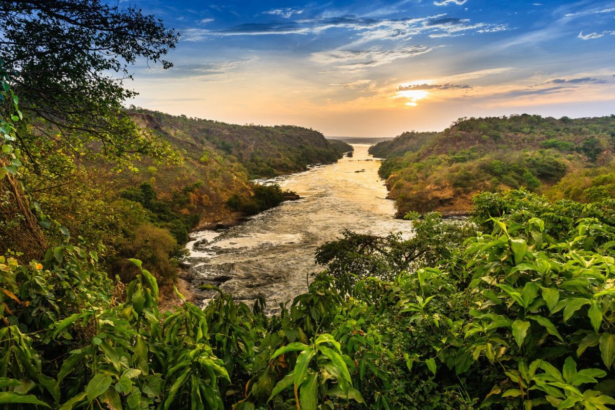 The Nile flowing through Murchison Falls, Uganda